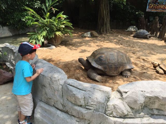 Chimelong Bird Park