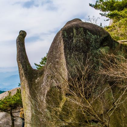安庆+天柱山+花亭湖风景区4日3晚私家团