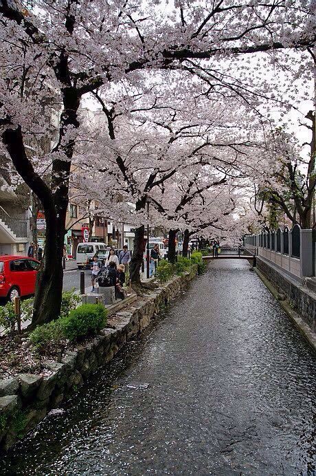 Kiyamachi Street
