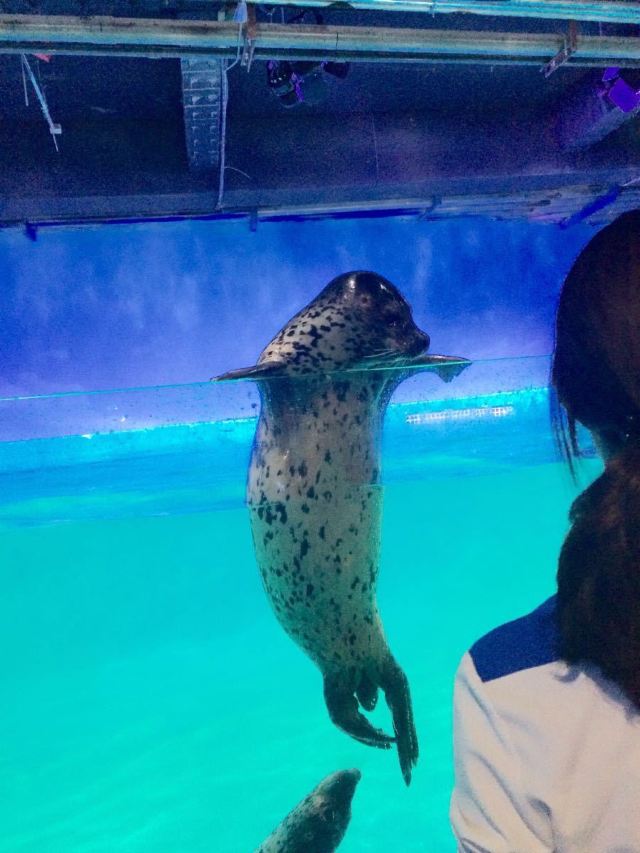 Grandview Aquarium