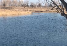 佳欣酒楼美食图片