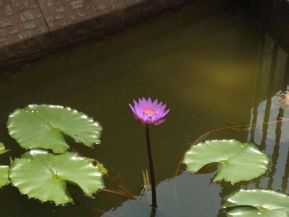 翠微山公园
