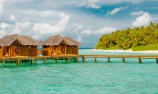 菲哈后岛-菲哈后岛-YoYo_8I6P1V2Q