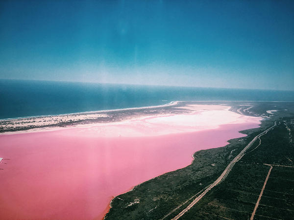 西澳珊瑚海岸的色调美学 如果说要用一个字来形容西澳的美，我想说是“纯”，无论是哪种色调，都是毫无杂色