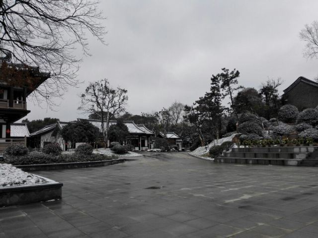 대명사