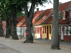 菲英村-欧登塞-doris圈圈