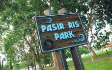 巴西立公园-新加坡-星小兔