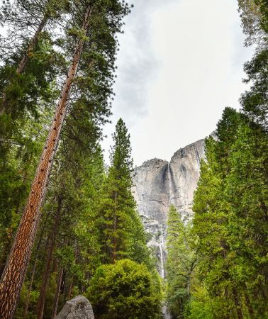 2D1N • Yosemite National Park