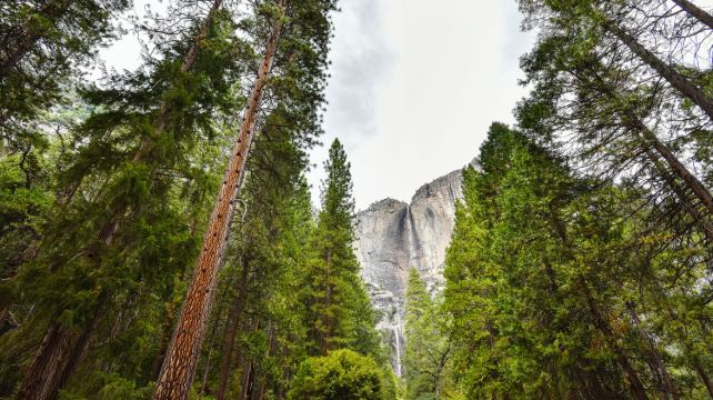 <11天>【小衆線路 美南陽光之旅】·洛杉磯接機+鳳凰城+舊金山+6大國家公園(優勝美地+巨人柱+白沙+卡爾斯巴德洞穴+石化林+死亡谷)+66號公路+塞多納+拉斯維加斯+阿布奎基 (酒店含早 2人成團)