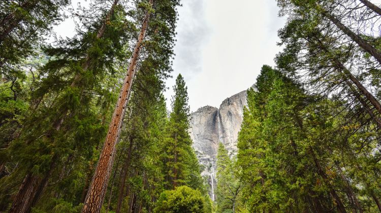 11-Day Phoenix + San Francisco City Tour from Los Angeles·Phoenix, Albuquerque, Sedona, Las Vegas, Death Valley, San Francisco, 17 Miles, Yosemite National Park