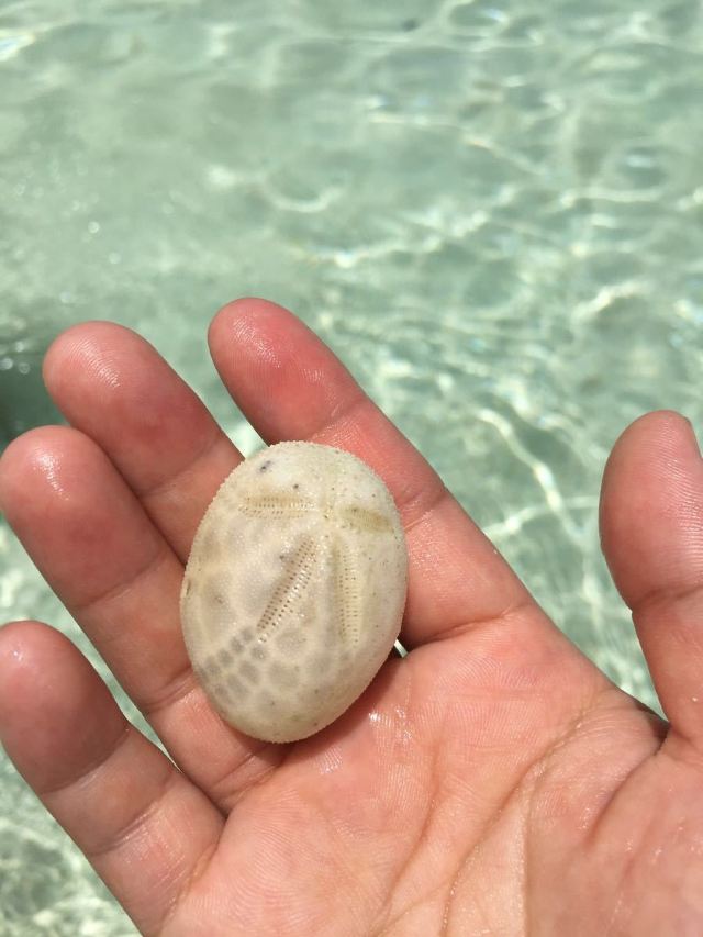 Virgin Island