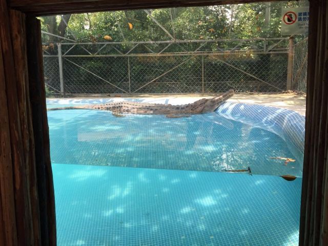 Chimelong Bird Park