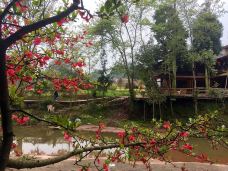 上里古镇-雅安-_WeCh****32473