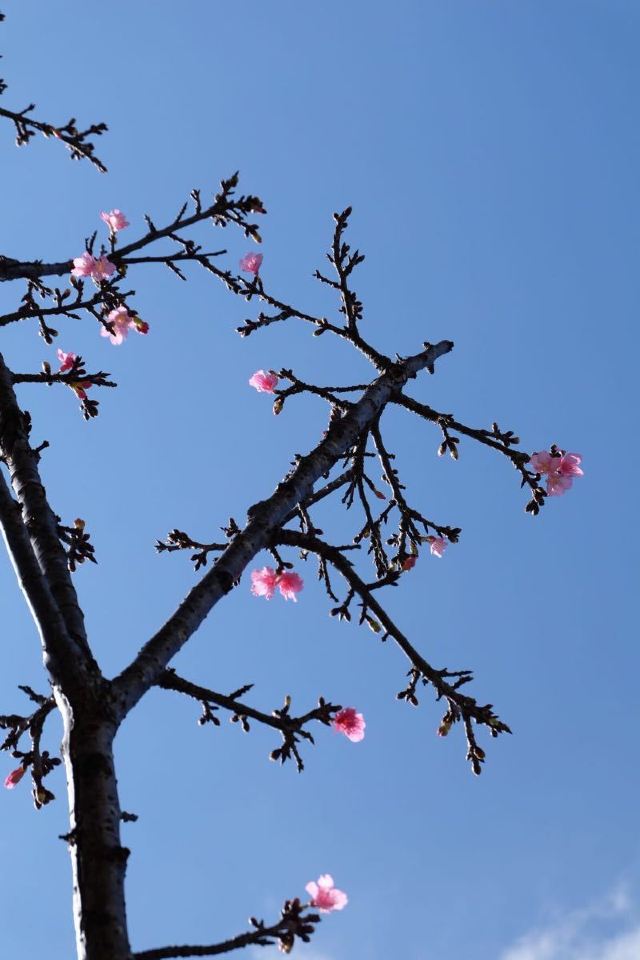 요기 공원