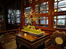 狮子林-苏州-_CFT01****6736127