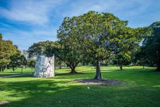 悉尼皇家植物园-悉尼-doris圈圈