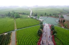 中国茶海景区(湄潭茶海)-湄潭-doris圈圈