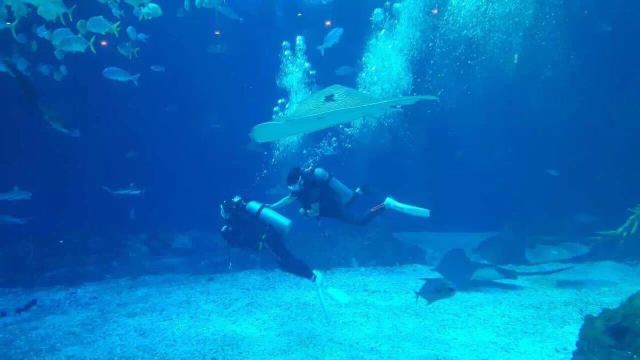 Marine Park