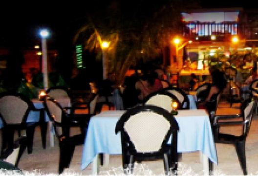 Mr. Diver Dive Restaurant美食图片