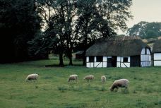 菲英村-欧登塞-doris圈圈