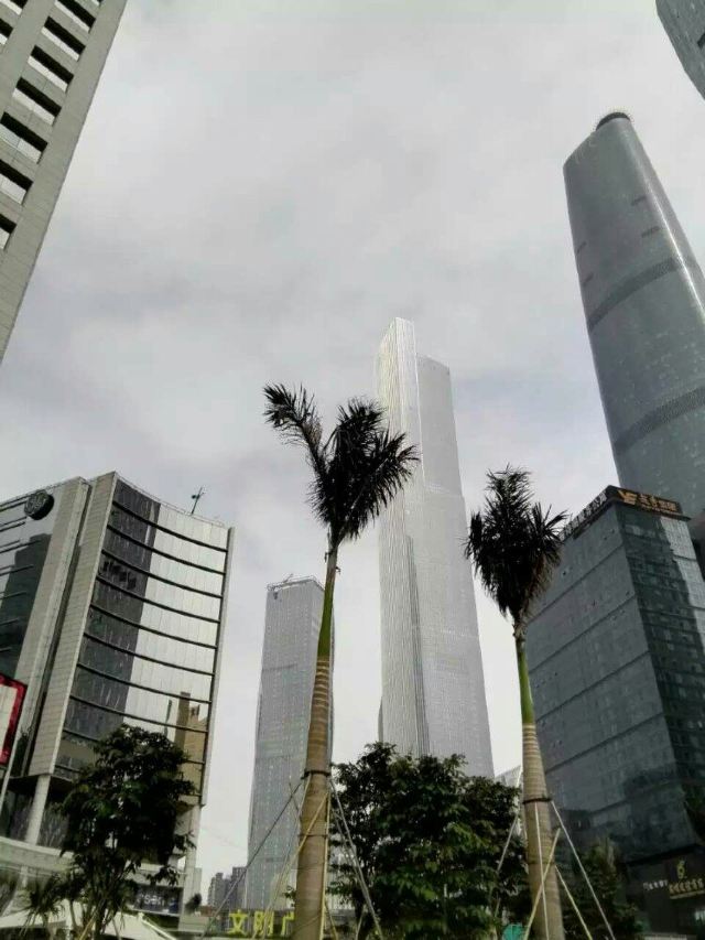 New Urban Zhujiang