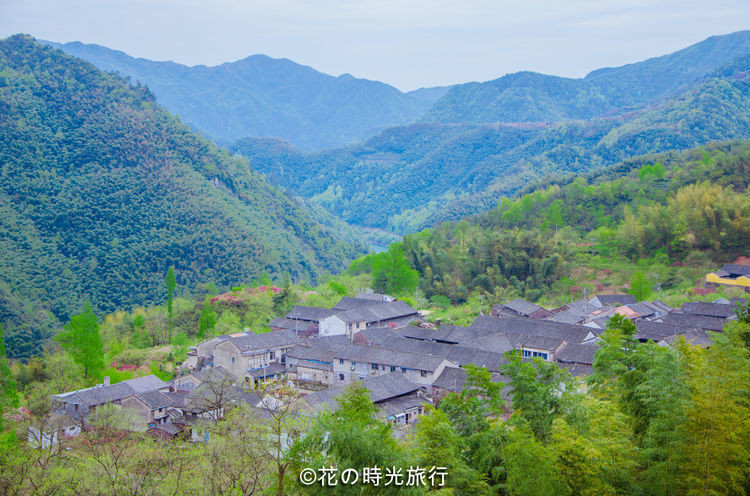 有那么一个小村落,它位于余姚市大岚镇东南部,在青翠的四明山腹地