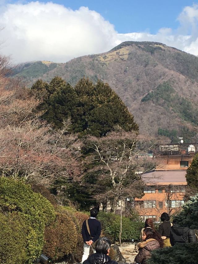 箱根強羅公園