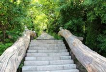 大连金龙寺国家森林公园景点图片