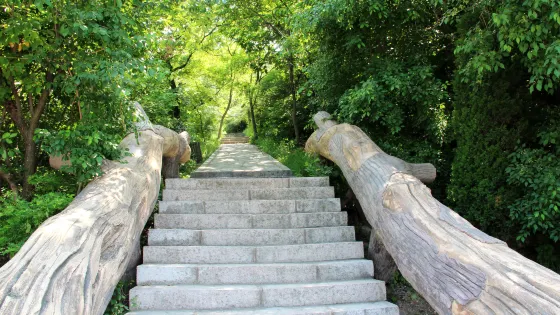大連金龍寺國家森林公園