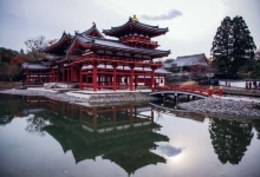 八幡市旅游图片-樱花季精选奈良公园+宇治平等院+抹茶体验+东大寺一日游