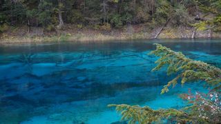 去九寨黄龙+成都