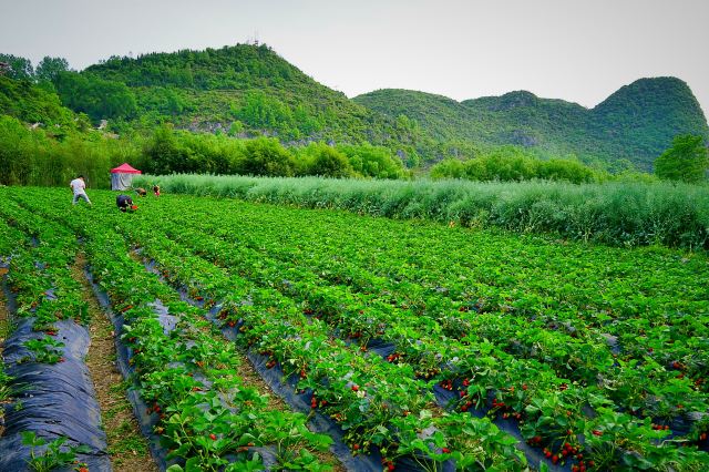 漩塘景區