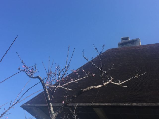 요기 공원