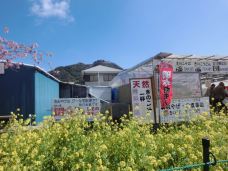 日本城-旧金山-YoYo_3G4D3S0E