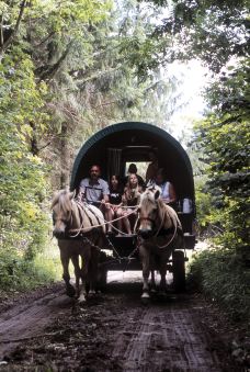 菲英村-欧登塞-doris圈圈