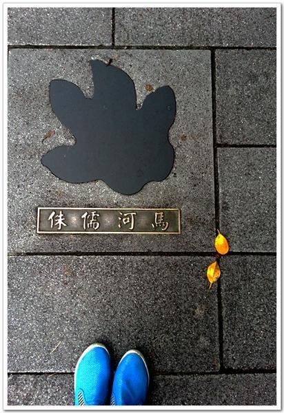 Maokong