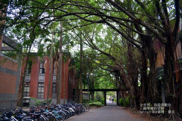 Taiwan University