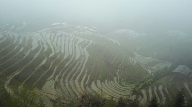 치싱반웨