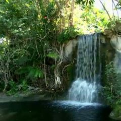 Garden Of The Groves Travel Guidebook Must Visit Attractions In