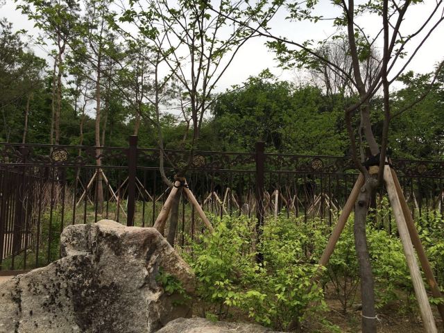 선릉과 정릉