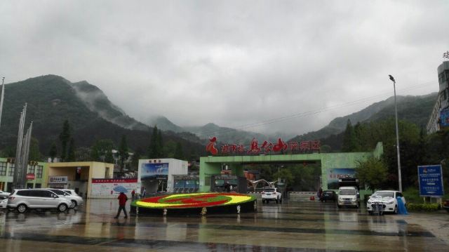 수탉 산