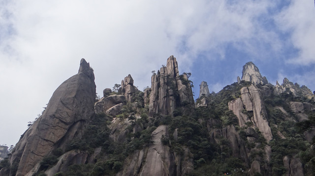 三月春风绿江南  赏景悟道三清山