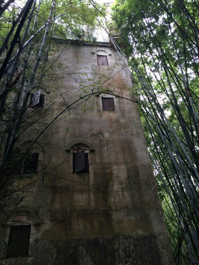 Ma-Xianglong Towers Group