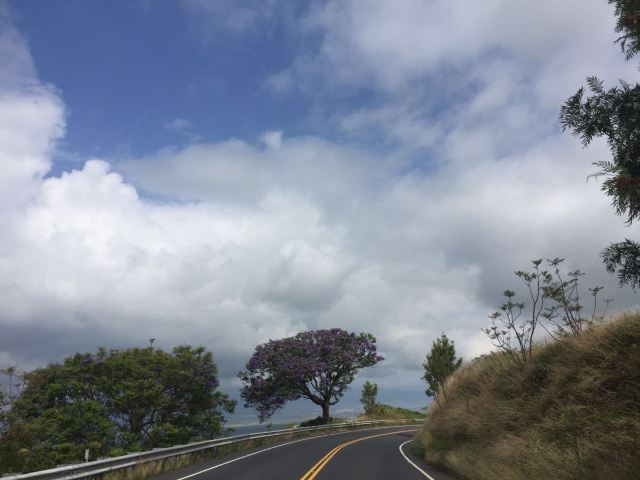 Maui