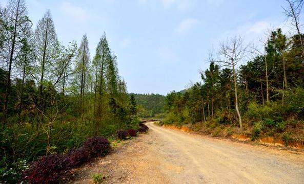 【杭州1日亲子营】丛林大冒险 探秘康春侬园