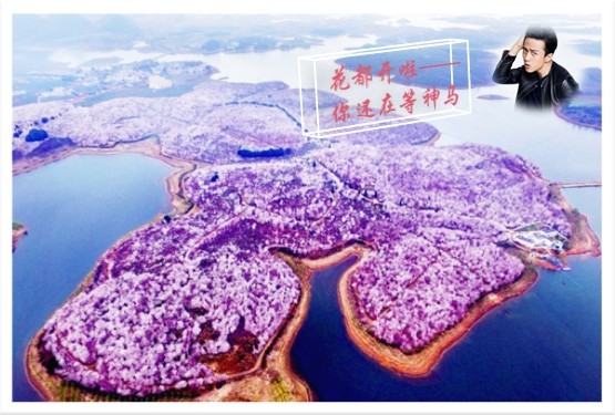 旅游团购网站大全_旅游团app下载_跟团旅游网