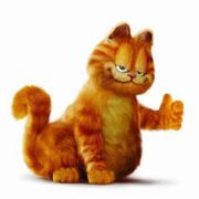 一只贪玩的猫