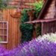 海南航空金鹏卡