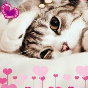 kixxxxko