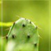 潆潆